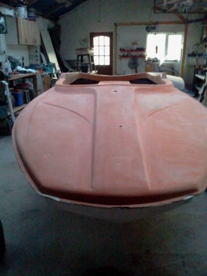 Used 80grit to remove paint,180grit and ready to fill some holes in the gelcoat